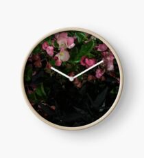 Pedals Clock