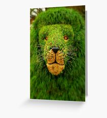 Camouflage Greeting Card