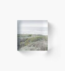 Brush on a Beautiful Day by the Oceanside Acrylic Block