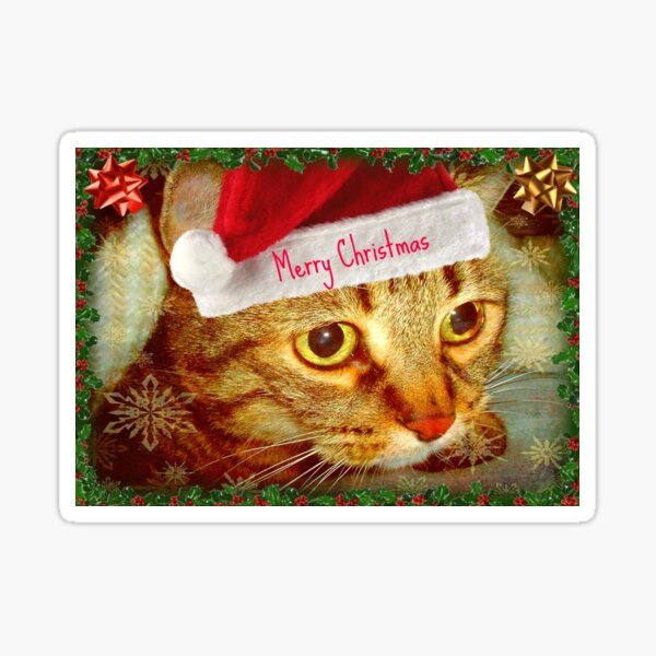 Dear Santa, this is my wish... © Sticker