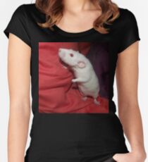 white dumbo rat Women's Fitted Scoop T-Shirt