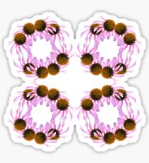 Echinacea flowers Sticker