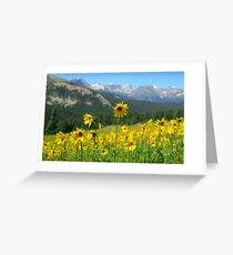 Colorado Wildflowers Greeting Card