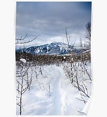Snow day Revelstoke Poster