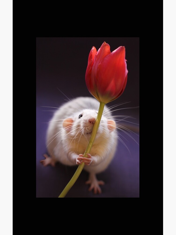 Just for you... by Ellen