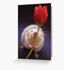 Just for you... Greeting Card