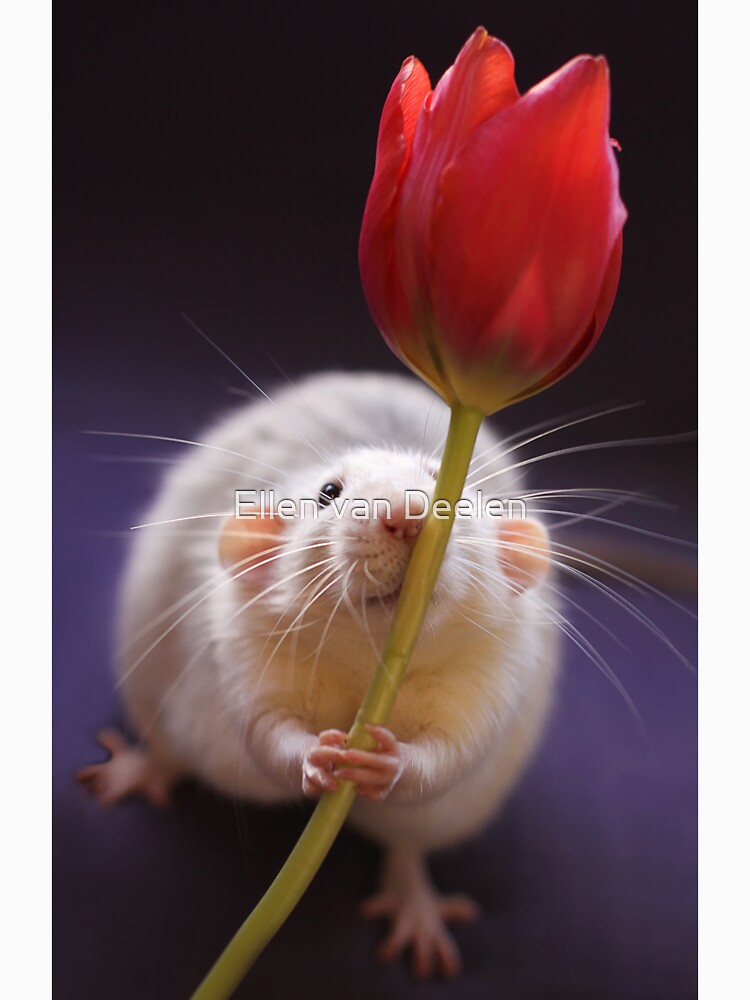 Just for you... by Ellen
