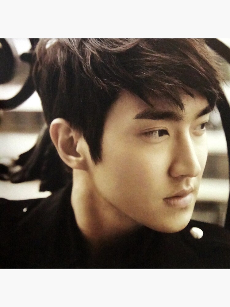 SIWON SUPER JUNIOR KPOP ELF STATTLICH von lostmynerve