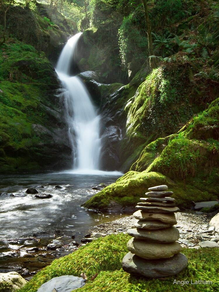 Wales - Dolgoch Falls 2 by AngelaBarnett