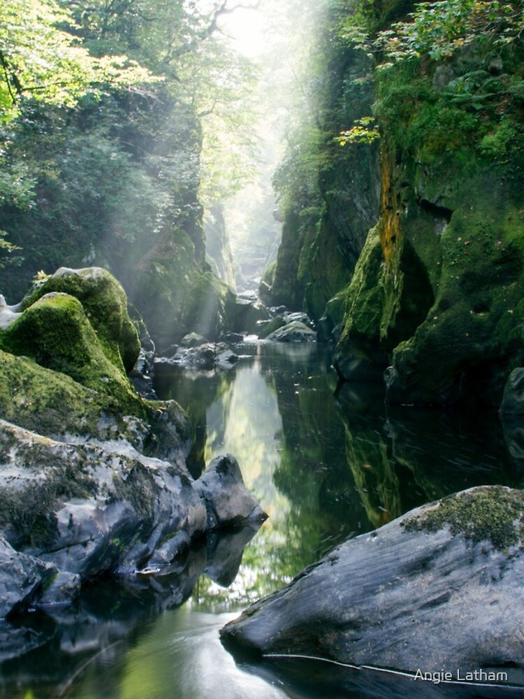 Wales - The Fairy Glen , Betws-y-Coed 2 by AngelaBarnett