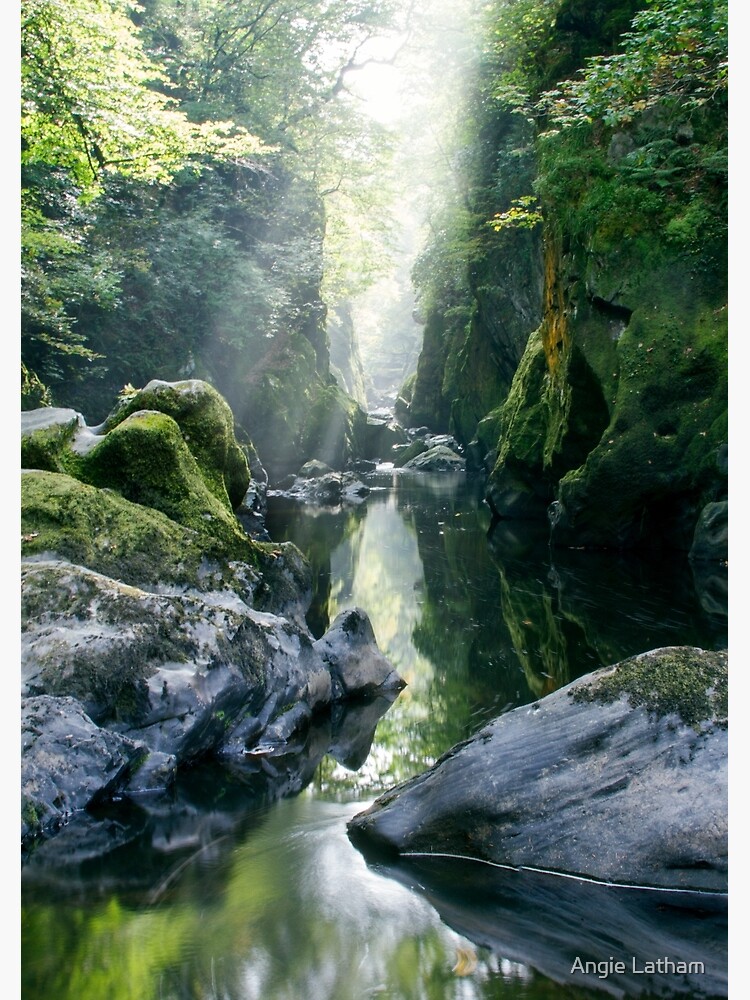 Wales - The Fairy Glen , Betws-y-Coed 2 by AngelaBarnett