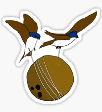 Swallows Sticker