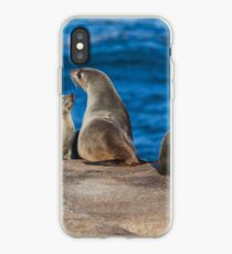 Australische Pelzrobben iPhone-Hülle & Cover