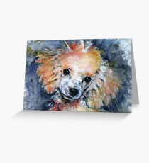 Toy Poodle Greeting Card