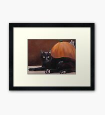 Sneak Peek Black Cat & Pumpkin Framed Print