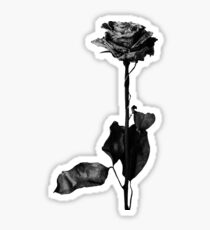 Blackbear Sticker