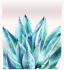 Agave Vibe # redbubble # artprint Poster