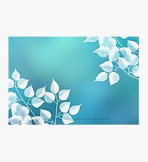 Blau Photographic Print