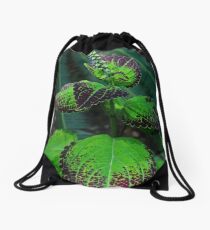 Wink of Blue Drawstring Bag