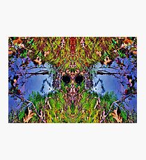 La Verdad Photographic Print
