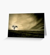 Tasmania's countryside Greeting Card