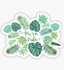Tropical Pura Vida Palm Leaves and Monstera Watercolor Sticker