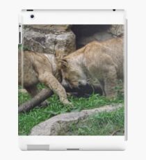 Lion Cubs iPad Case/Skin