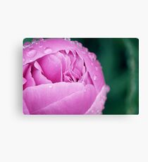 Layers. Canvas Print
