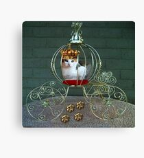 I CAN BE THE PURRFECT QUEEN OR THE QUEEN OF DENIAL>FELINE>CAT PICTURE Canvas Print