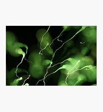fireworks 25/7/14 Photographic Print