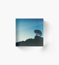 Lone Tree Acrylic Block