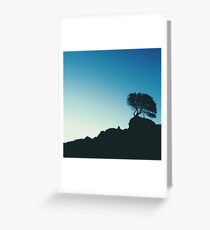 Lone Tree Greeting Card