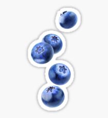 Falling blueberries Sticker