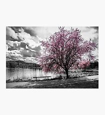 Heavenly View Photographic Print