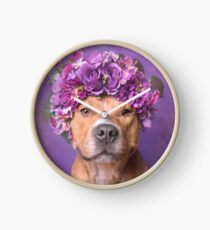 Flower Power, JD Clock