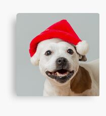Sumi-e Christmas cushion Canvas Print
