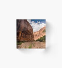 Sandstone Varnish Cliff - Coyote Gulch - Grand Staircase Escalante, Utah Acrylic Block