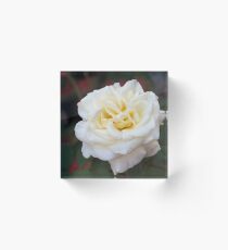 White Rose Acrylic Block