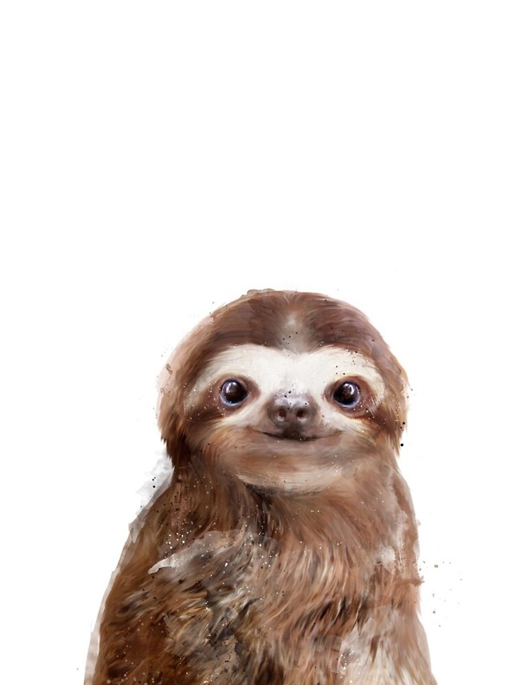 Little Sloth by AmyHamilton