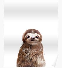 Little Sloth Poster