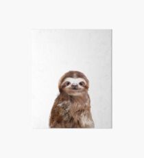 Little Sloth Art Board