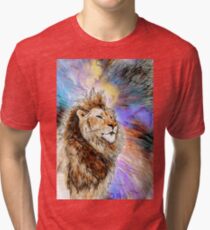 Thoughtful lion - a world of imagination Tri-blend T-Shirt