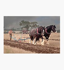 Ploughing its a slow job Photographic Print