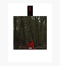 Night Lovell Photographic Print