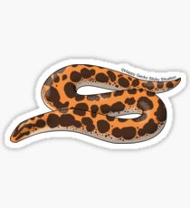 Kenyan Sand Boa Sticker