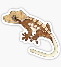 Harlequin Crested Gecko Sticker