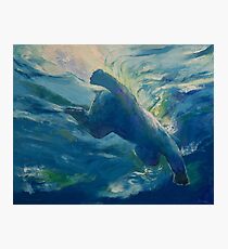 Polar Bear Swim Photographic Print