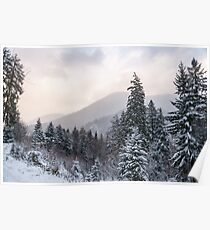 First snow Poster