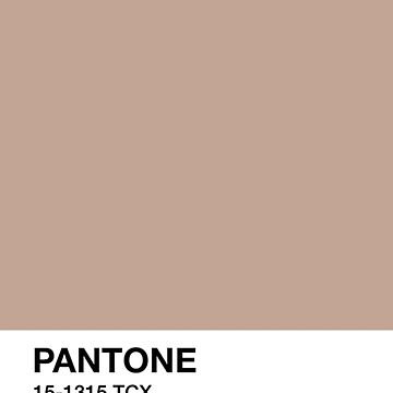 Pantone 14-1307 Tcx Rose Dust Color