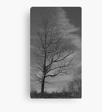 Desolate Canvas Print